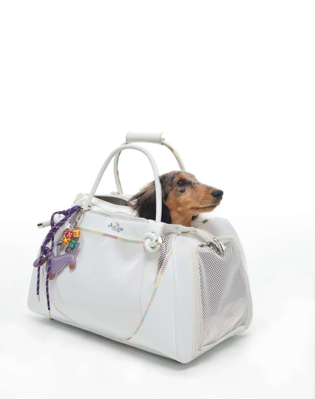 PawsCube Luxury Vegan Leather Pet Carrier – Removable Orthopedic Pad, Adjustable Straps & PVC Support